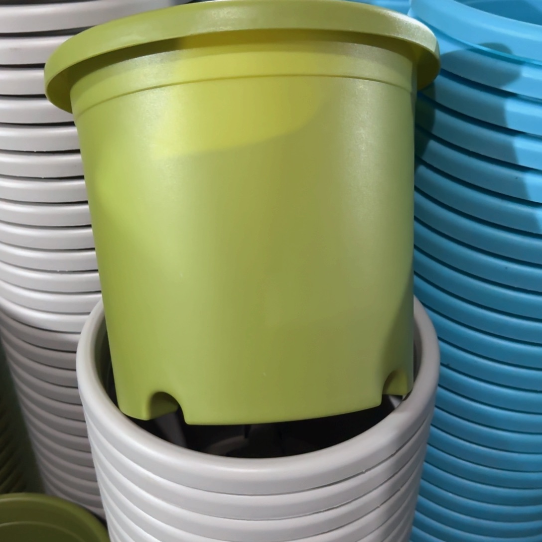 树脂特价4#无拖果绿8个