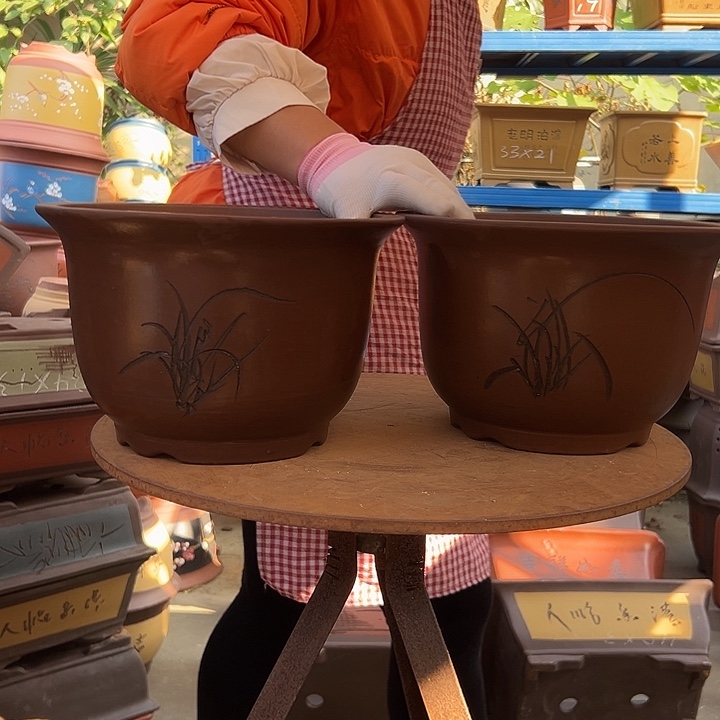 25+25平角金钟花盆花盆花盆