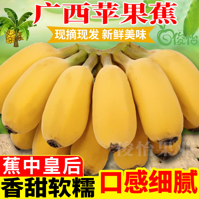 广西苹果蕉当季时令水果3/5/9斤产地直发香甜软糯香蕉西贡蕉批发