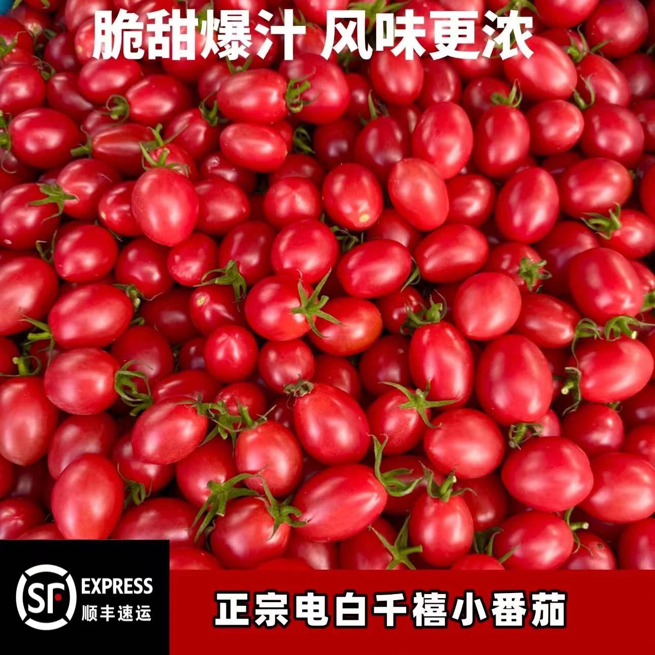 【顺丰包邮】正宗电白千禧小番茄净重2斤礼盒装5个裂果不售后