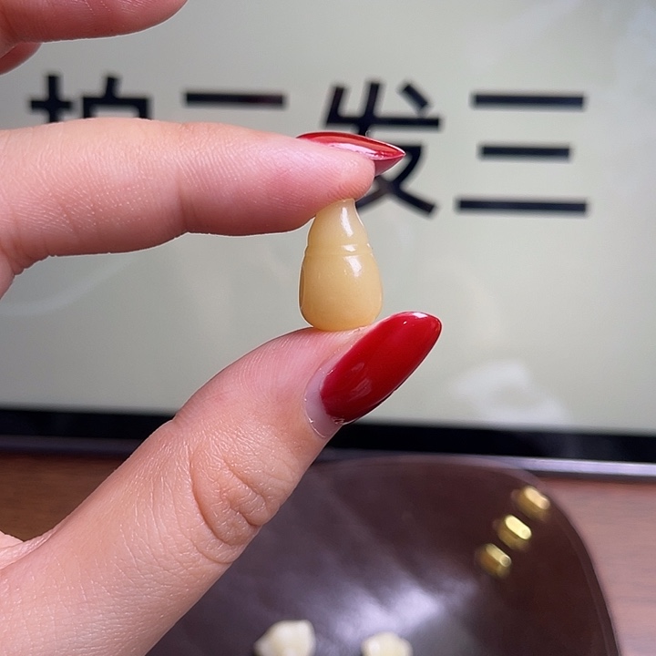 手串/手链驼骨0154