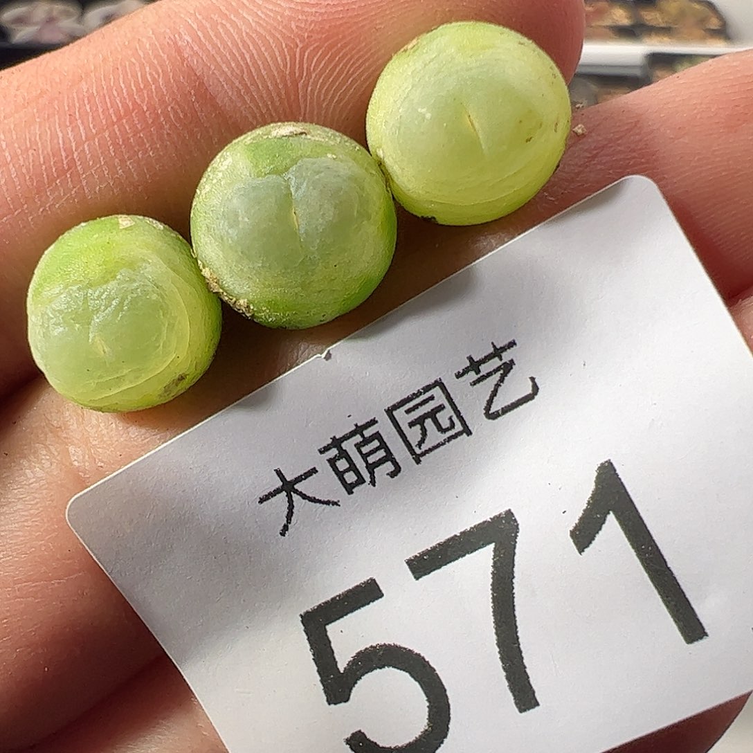 一物一拍。      微瑕福利571