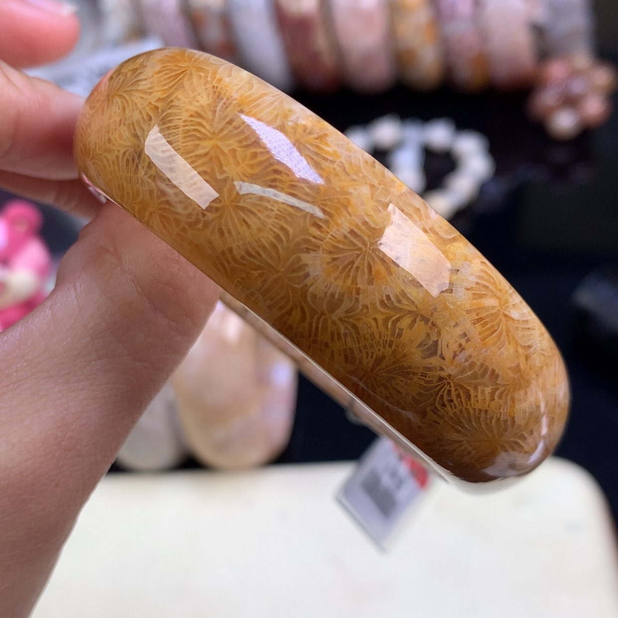 【闪购商品】颈饰未镶嵌硅化珊瑚（珊瑚玉）45号凤尾55.6圈
