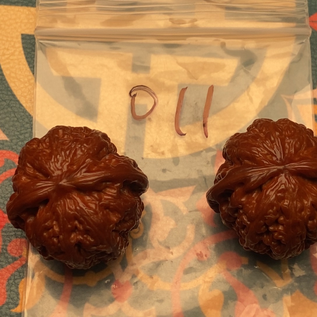 文玩核桃把件张**啊011粗斤