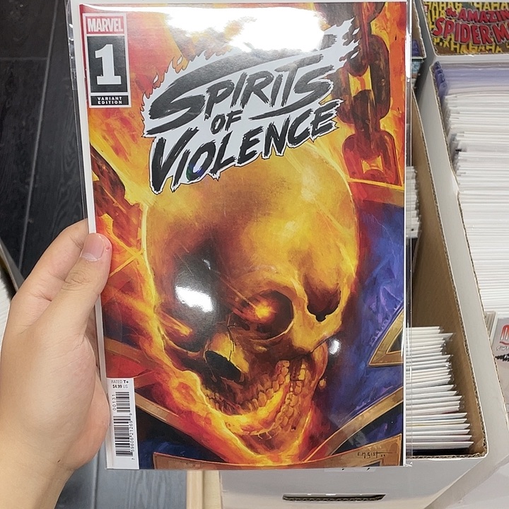 恶灵骑士第一期变体