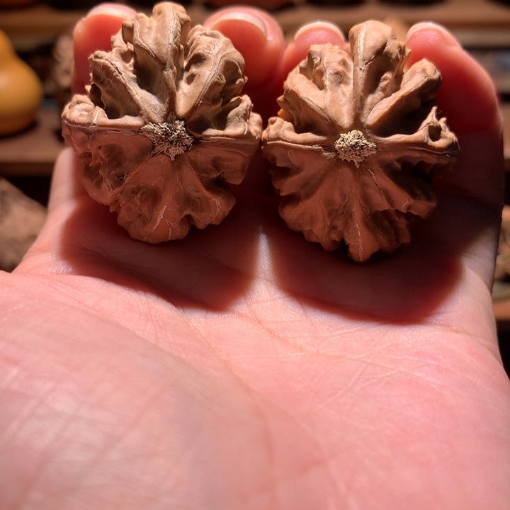 文玩核桃吊坠楸玥核122