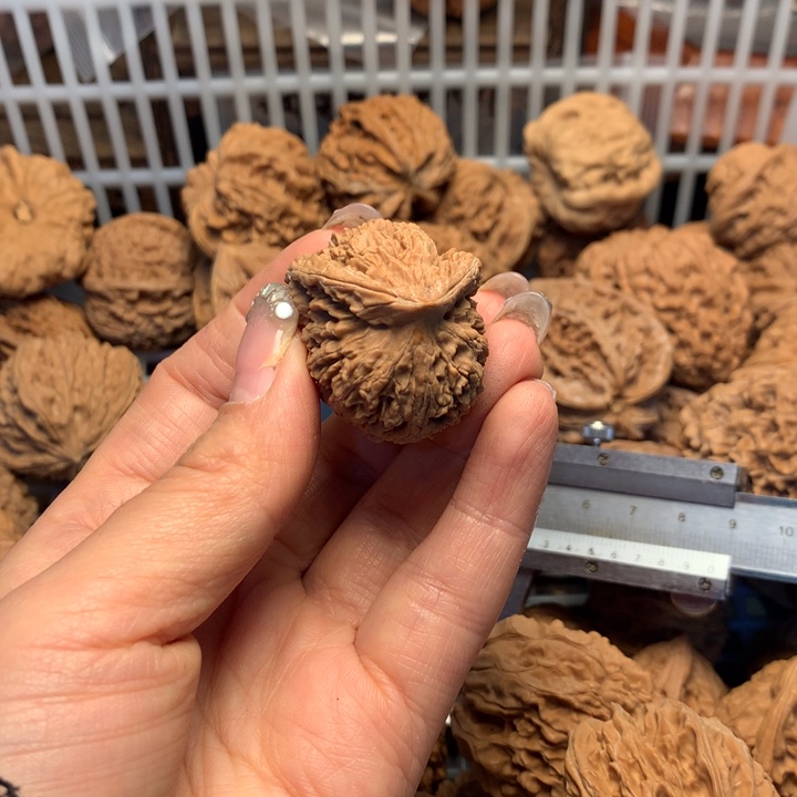 杨***六文玩核桃把件核桃