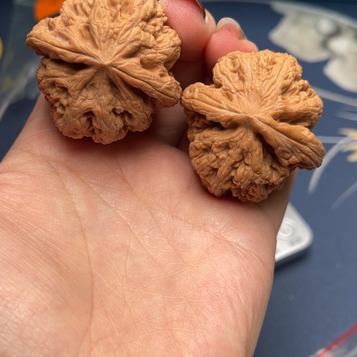 文玩核桃把件粗筋41