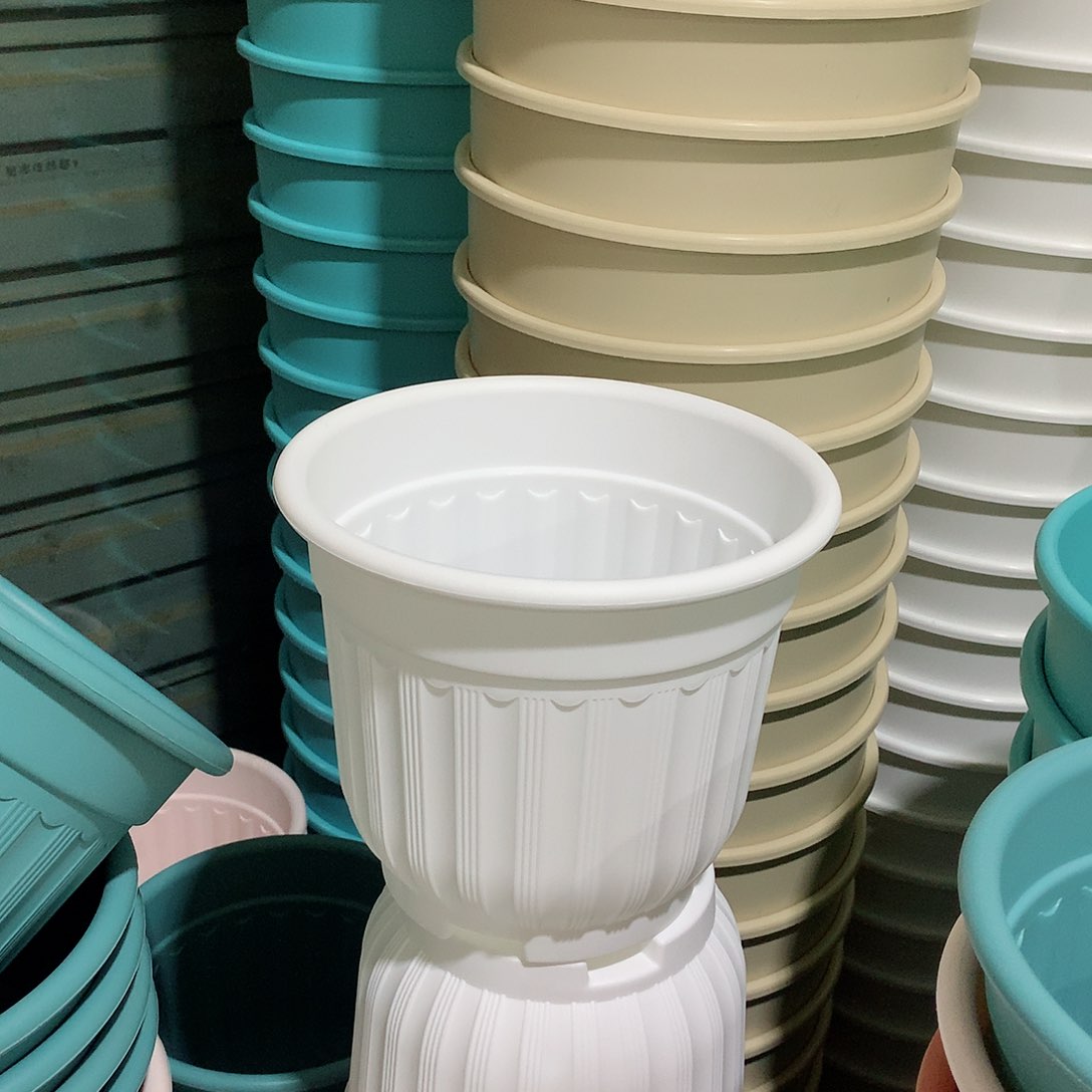 树脂罗马口21白4个无托