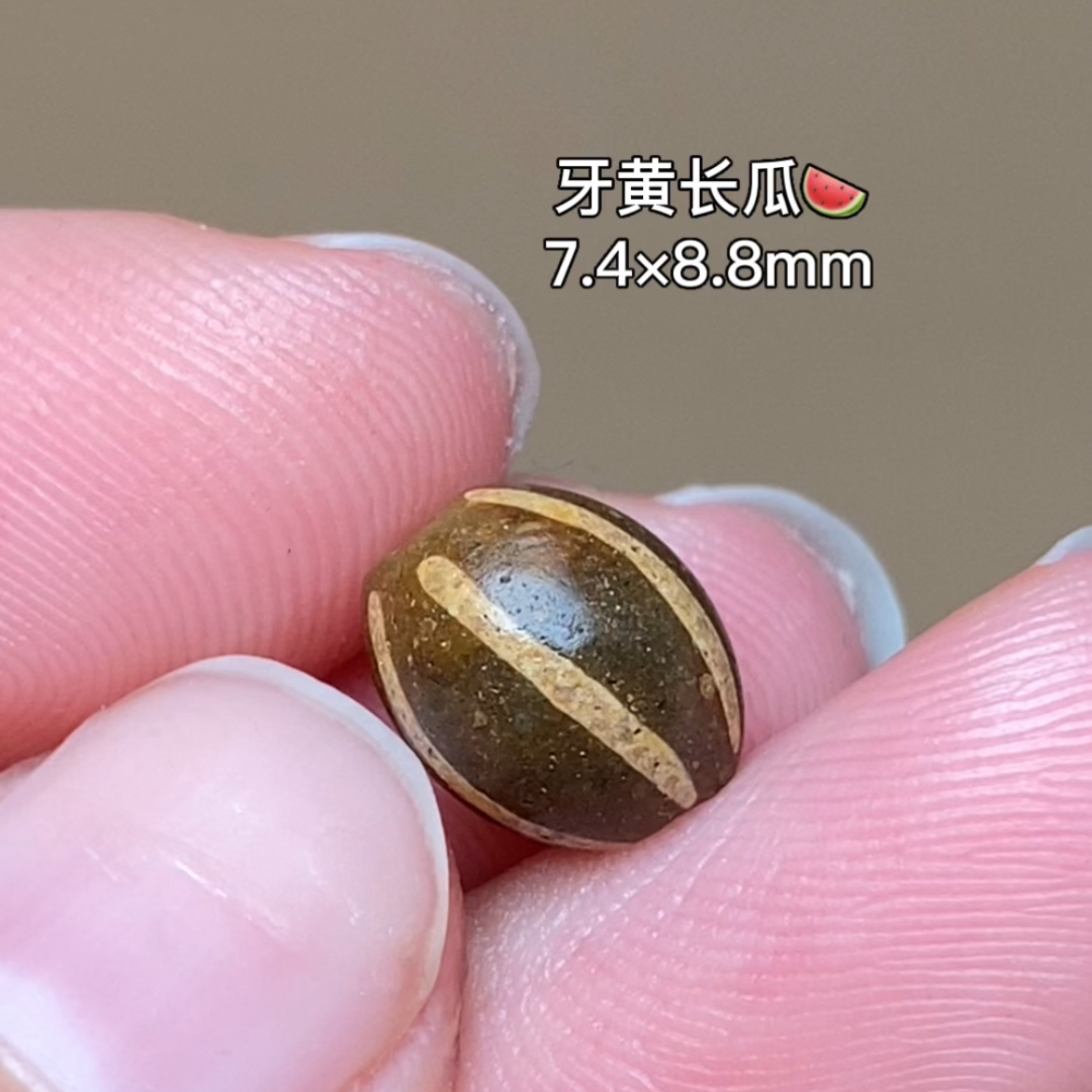 精品牙黄长瓜 千年古珠 有细节视频找客服