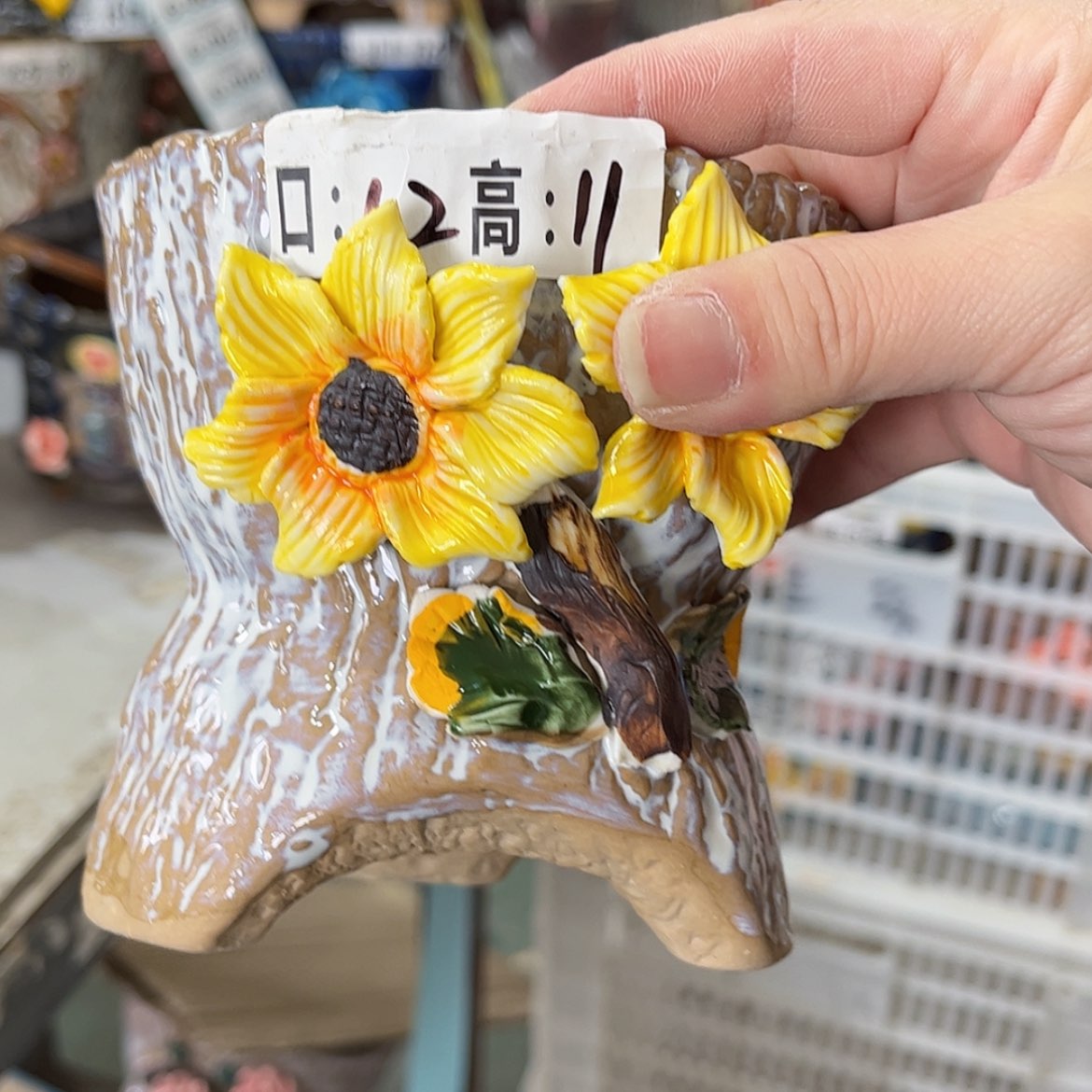 【闪购商品】红陶福利