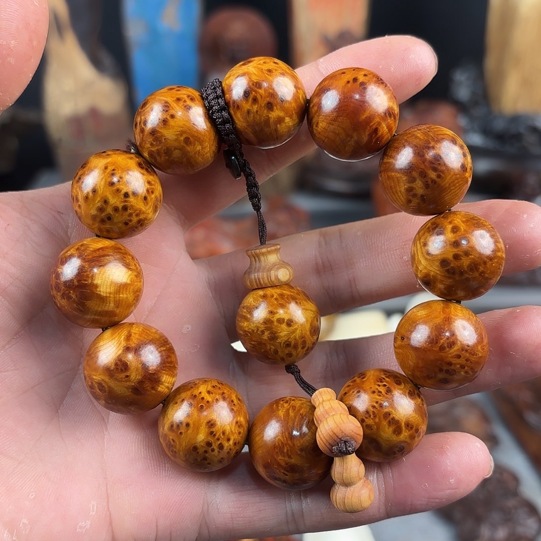 柏木（崖柏）000000000