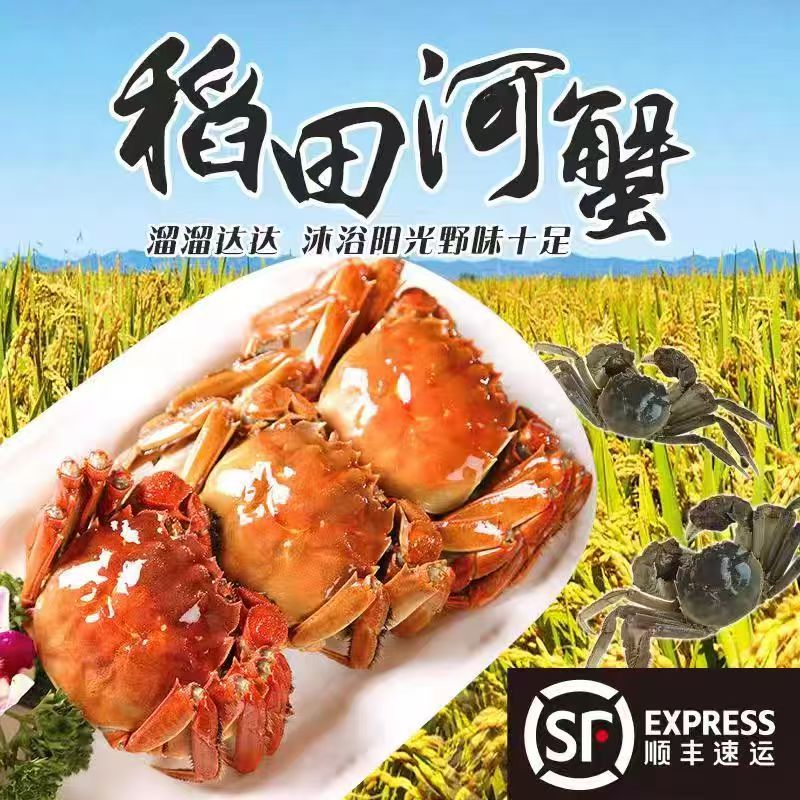 盘锦河蟹（1.3两～1.6两全母2.5斤装）（16～18）只