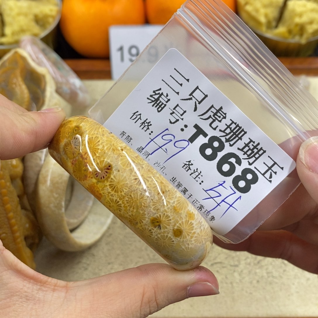 硅化珊瑚（珊瑚玉）1未镶嵌?****