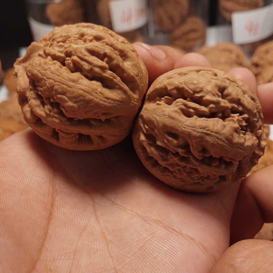 文玩核桃吊坠霸王龙43全品。3