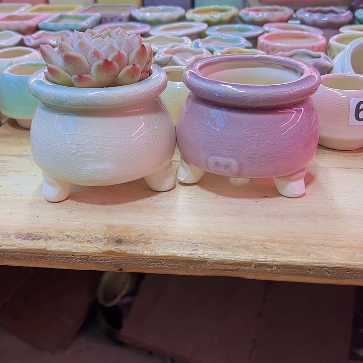 陶瓷花盆当场凑满12包邮