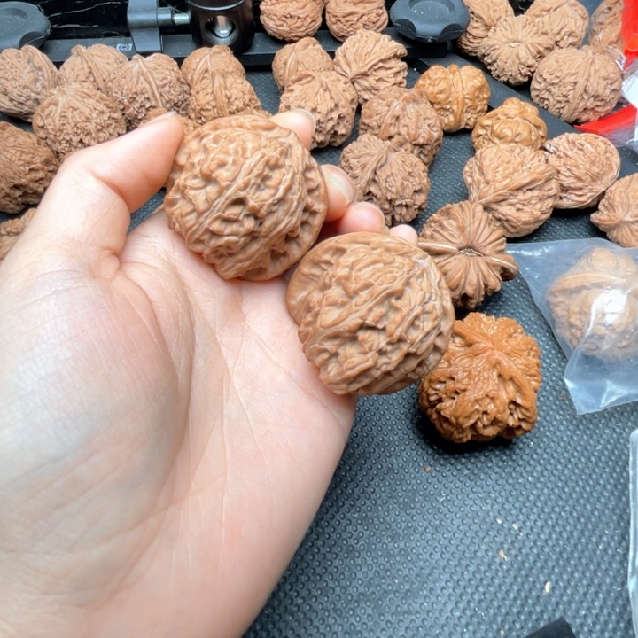 核桃其他老*白狮子43尺全品无修