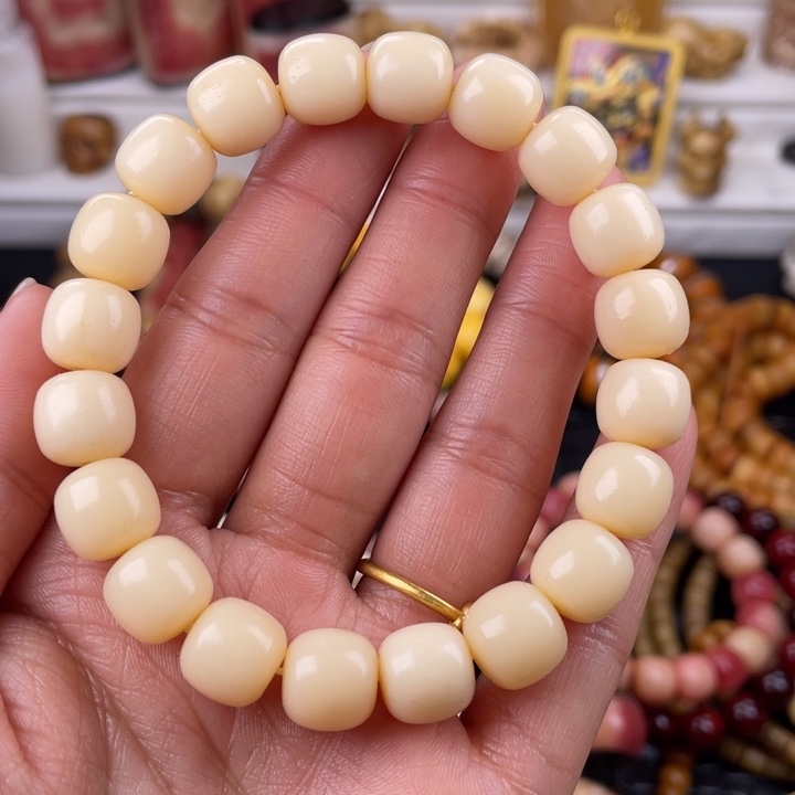 驼骨其他骆驼骨老邢11