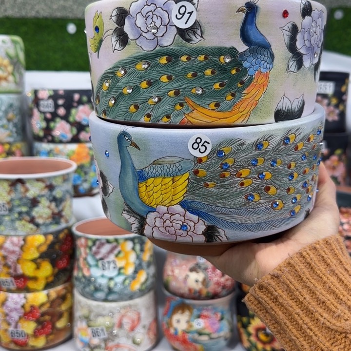 田小姐多肉花盆2个