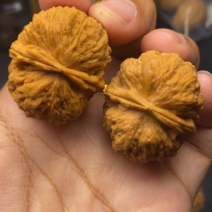 把件文玩核桃36尺铁狮子