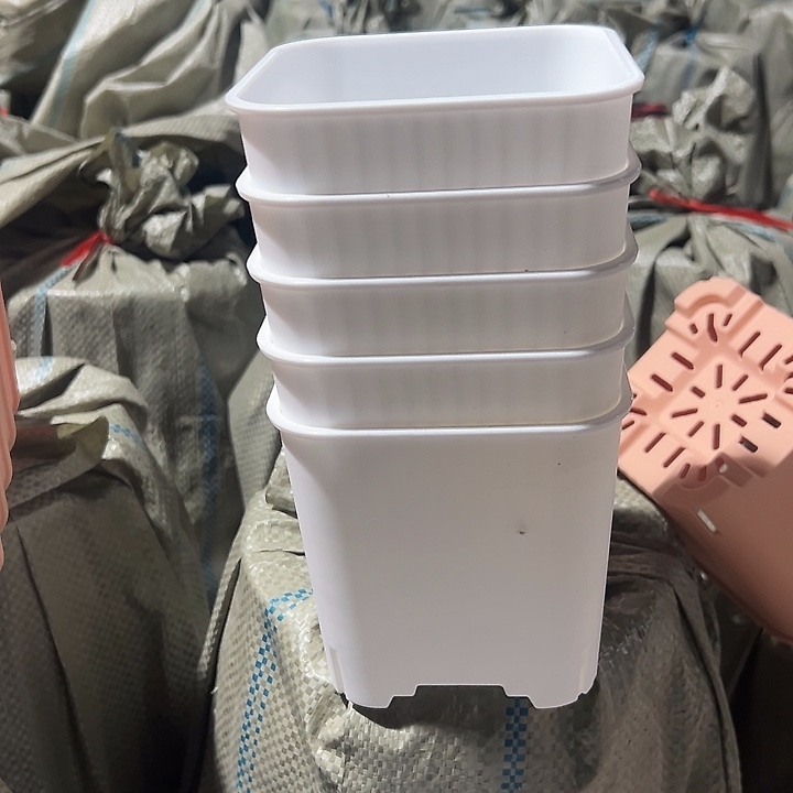 12方白色5个无托盘