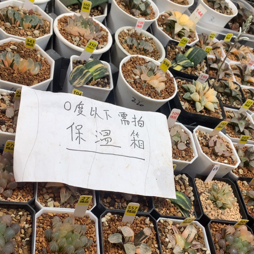 【闪购商品】0度以下需拍保温箱