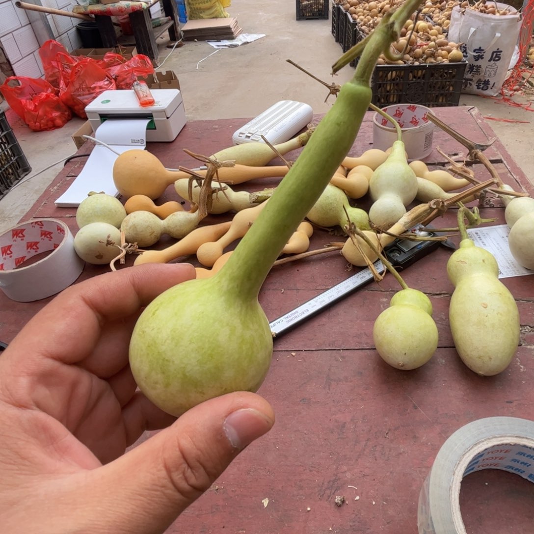 文玩葫芦吊坠项链