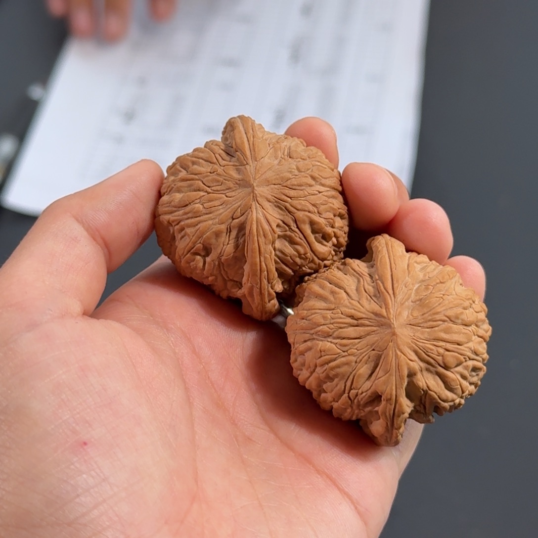 文玩核桃把件106号全品泥鳅背