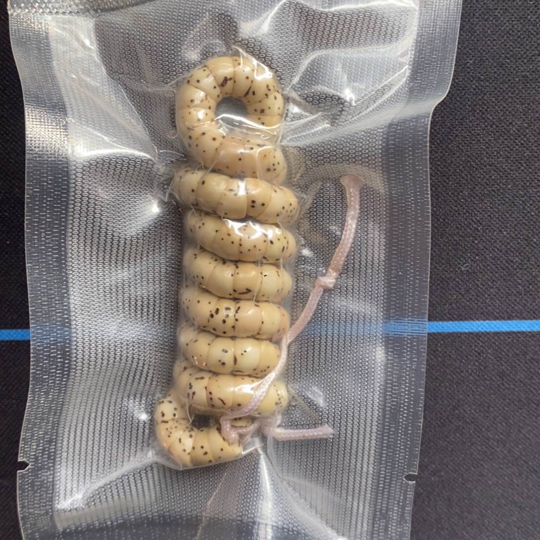 星月菩提手串6尺寸数星星大肠