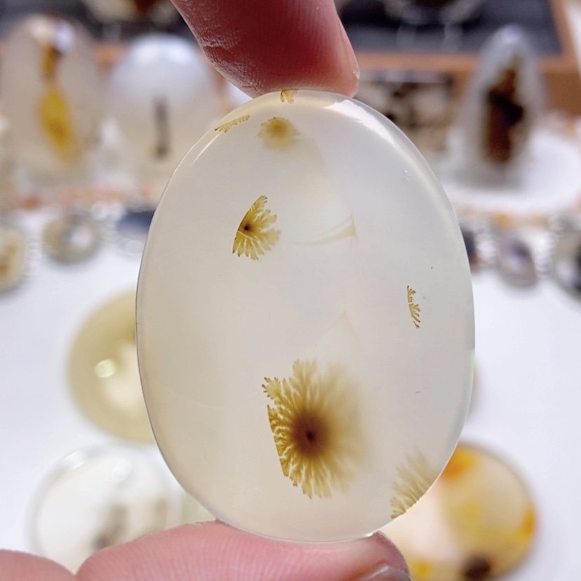 【闪购商品】玛瑙/玉髓颈饰未镶嵌