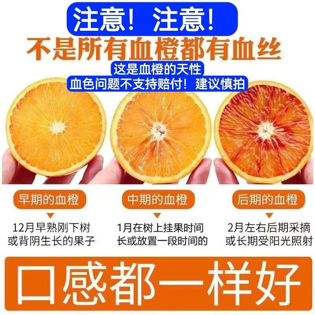 四川珍珠小血橙带箱9-10斤