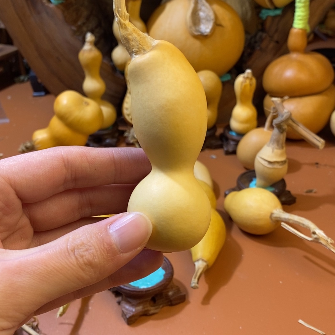 星***护教练教练咯哦哦哦咯