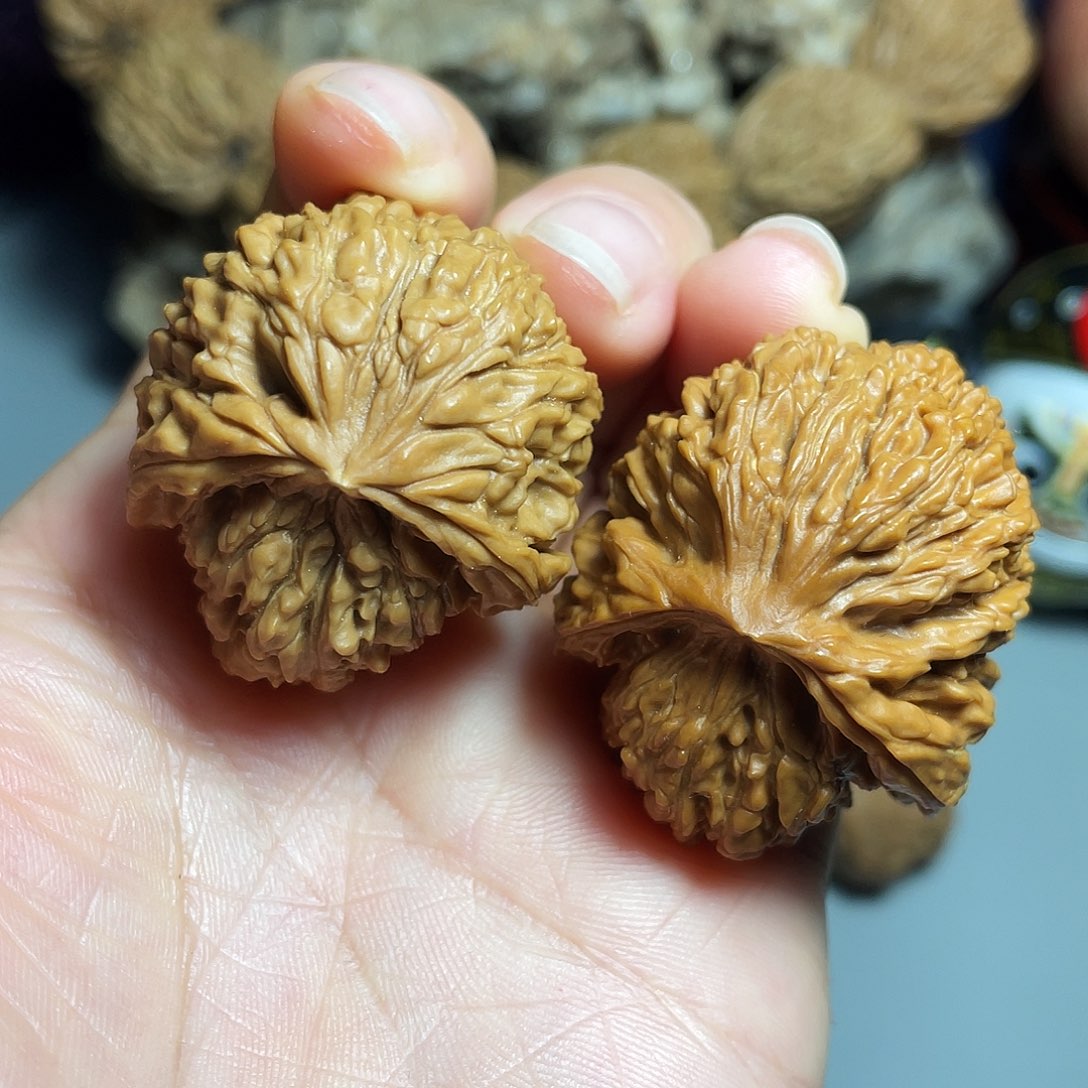 核桃手串/手链精品南疆龟背