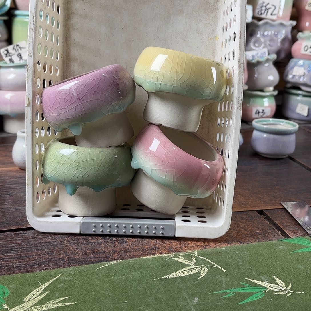 量货/5.5口高6.5深浅搭配发4