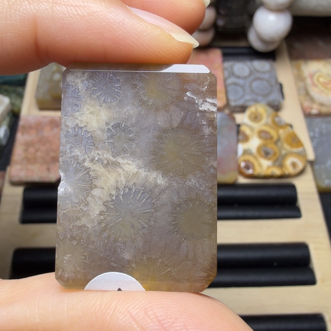 硅化玉未镶嵌冰透 灰黑花纹
