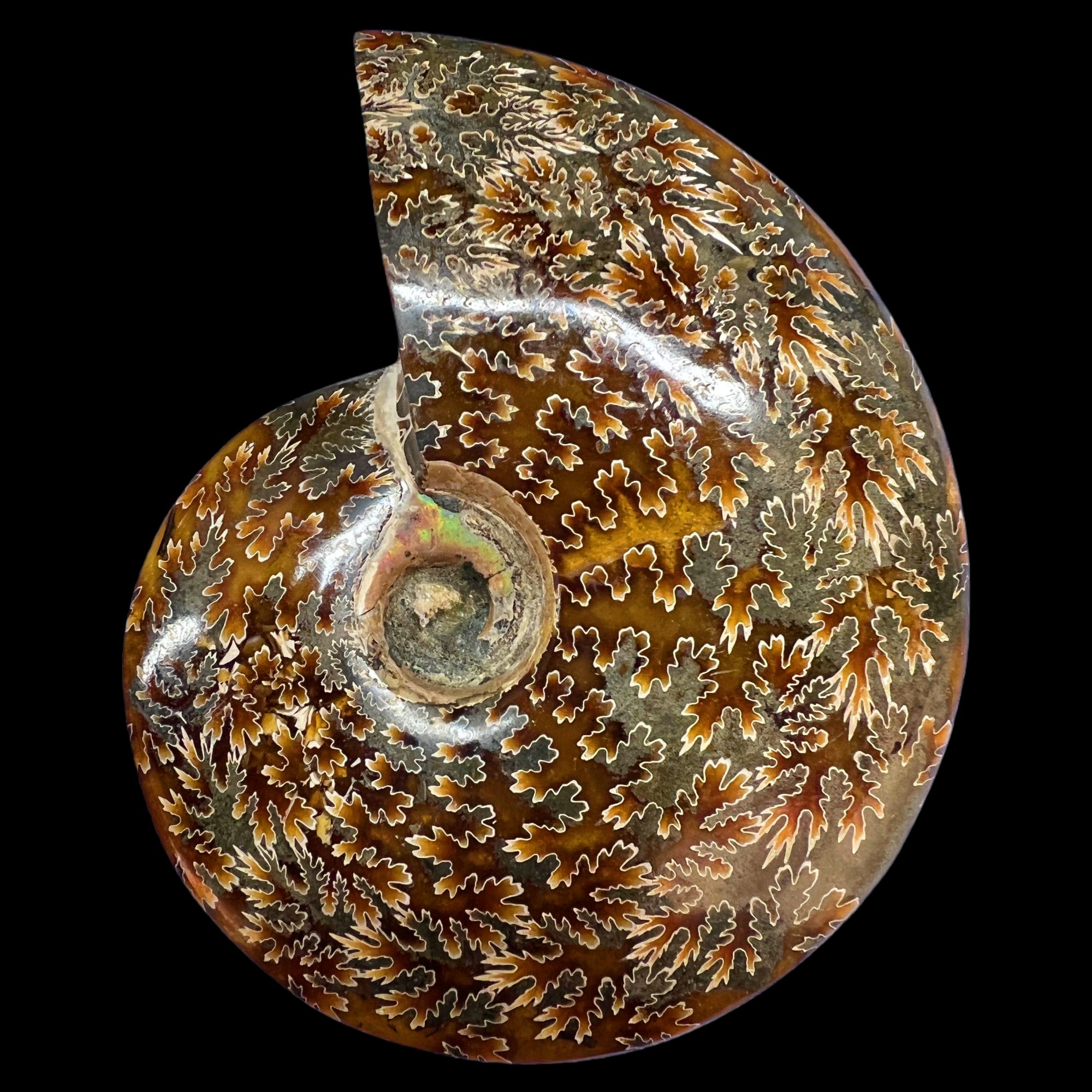 【 叶菊石（ 把件）】116.4mm 玉化 马达加斯加 N-50  创意饰品 C38