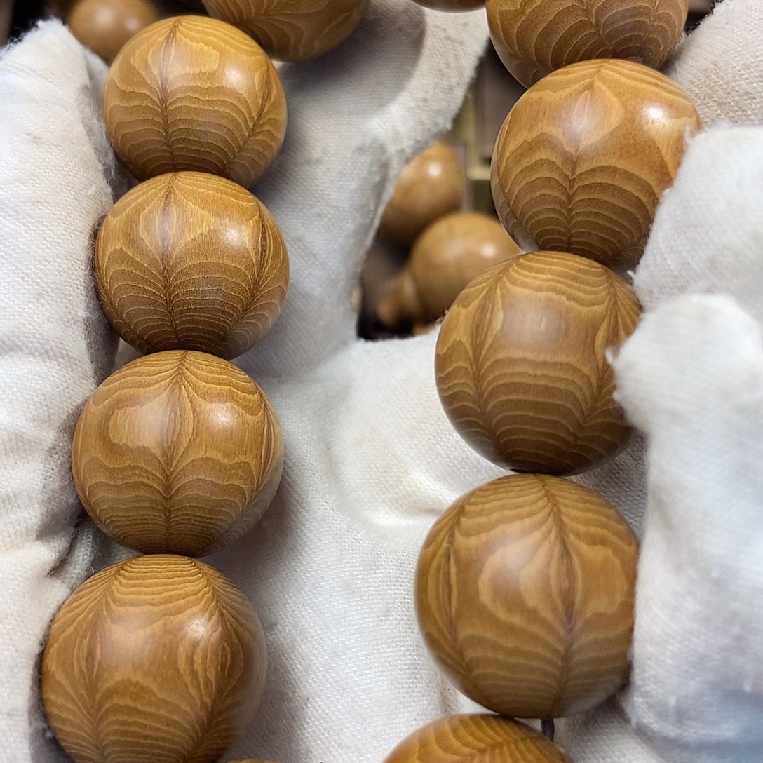 人***3山西五台山六道木