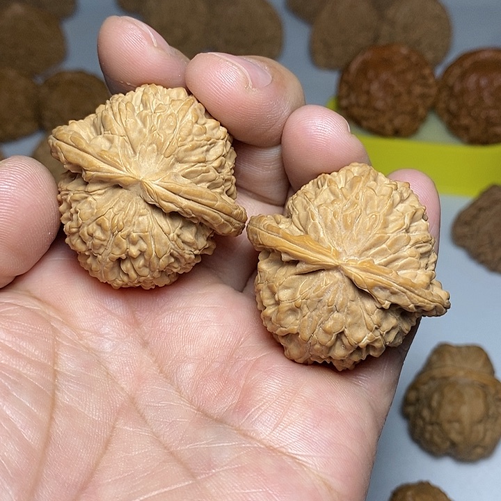 文玩核桃把件43尺，白狮子