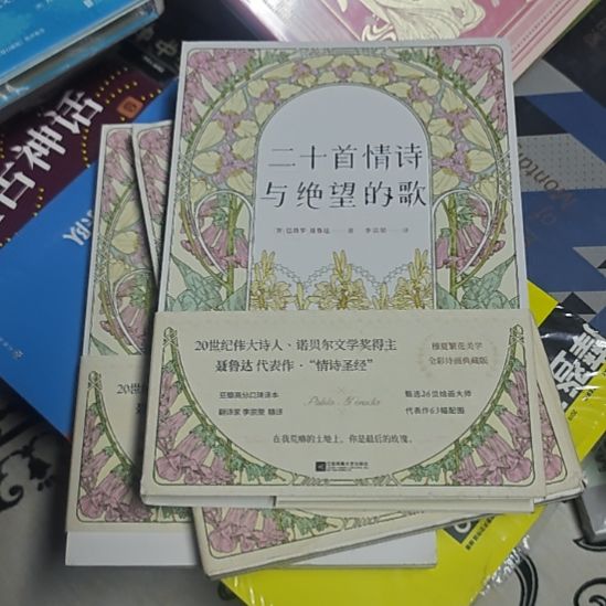 二十首情诗与绝望的歌（务必塑封）