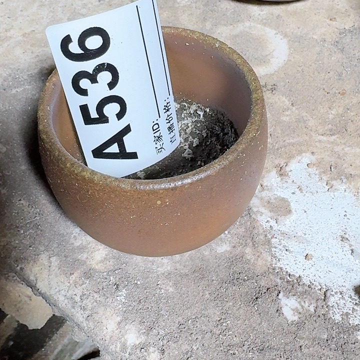 心***门茶壶紫砂坭兴陶柴烧