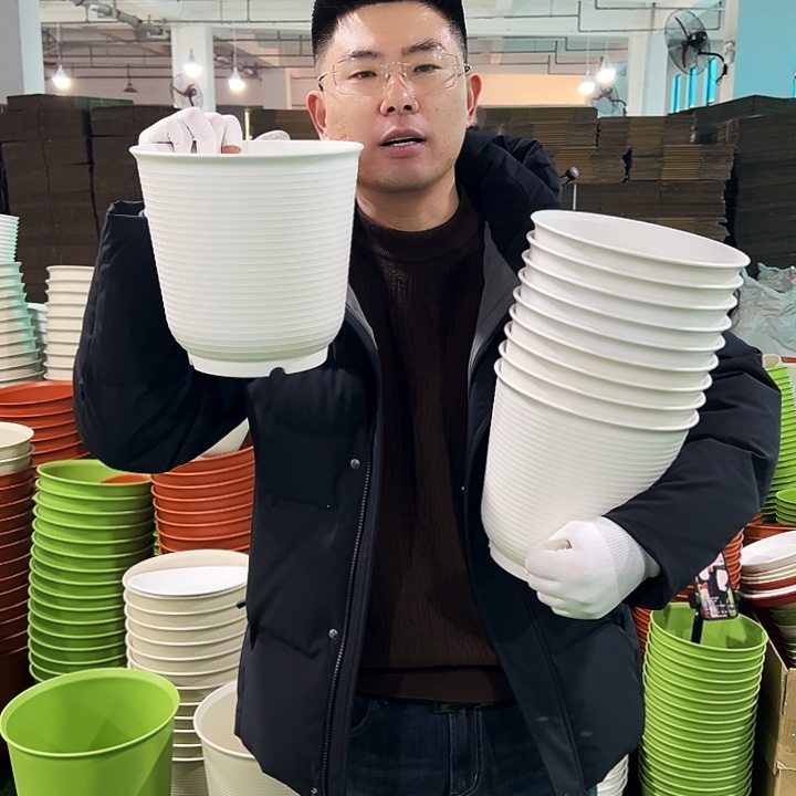 正品高陶口21高21白色6只无托