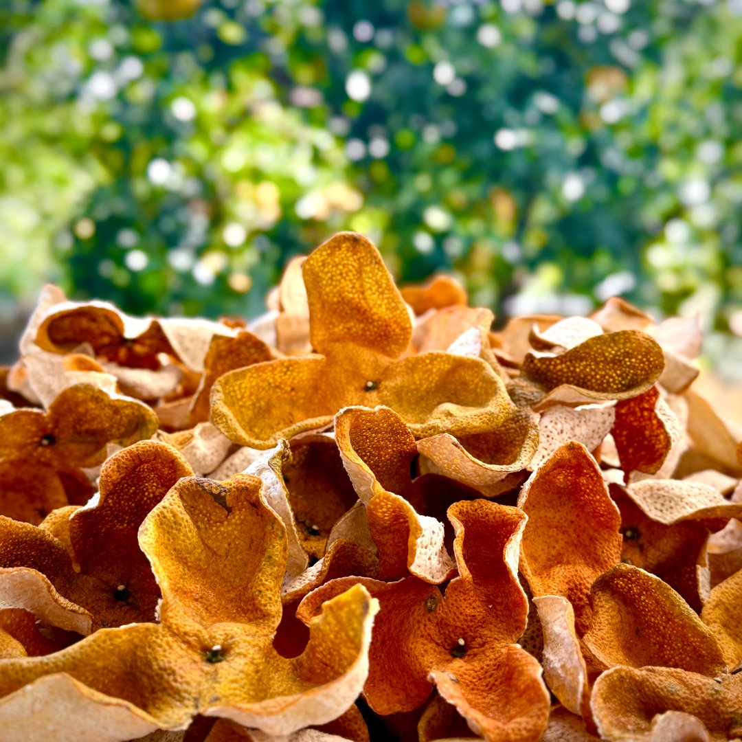 【2025年礼乐冬后大红皮】新会陈皮 收藏储存核心产区