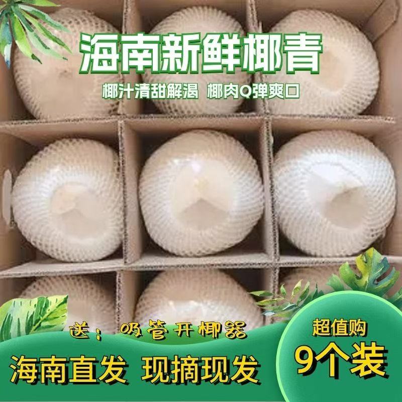 海南现摘现发现挑新鲜原生态去皮大果椰青9个装，送开椰器+吸管