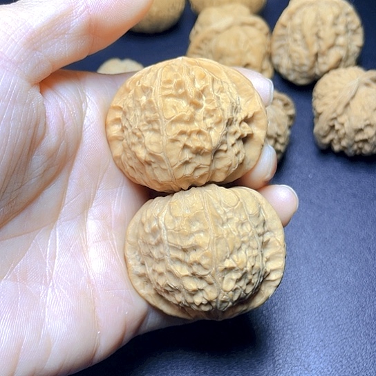 大叶紫檀（黑酸枝木类）弹****师