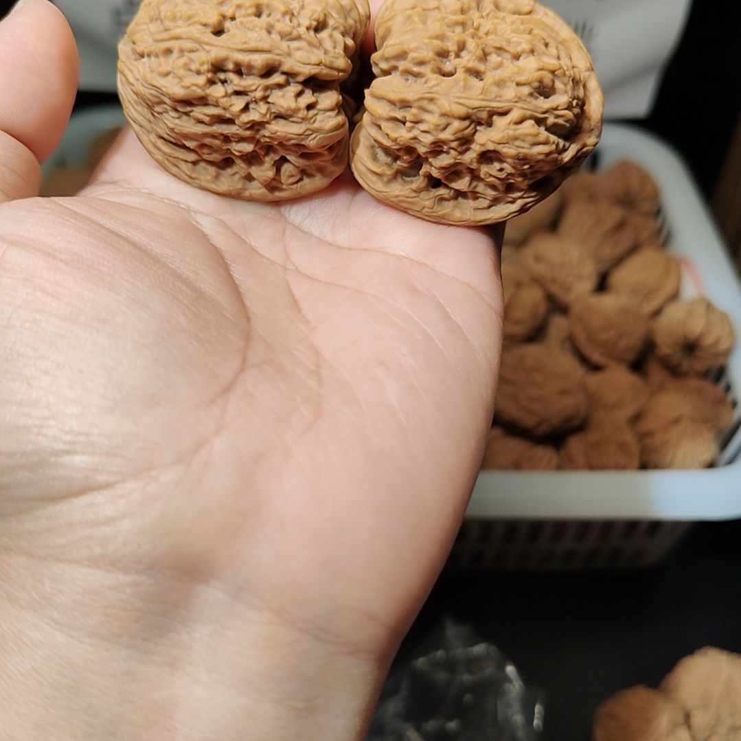 冰***糖南疆石狮子头一物一图