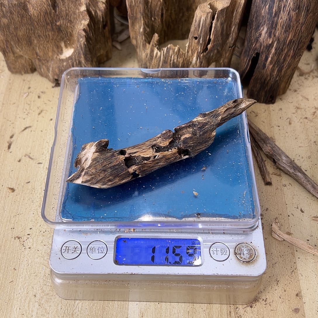 香料绿奇楠虫漏11克乌身