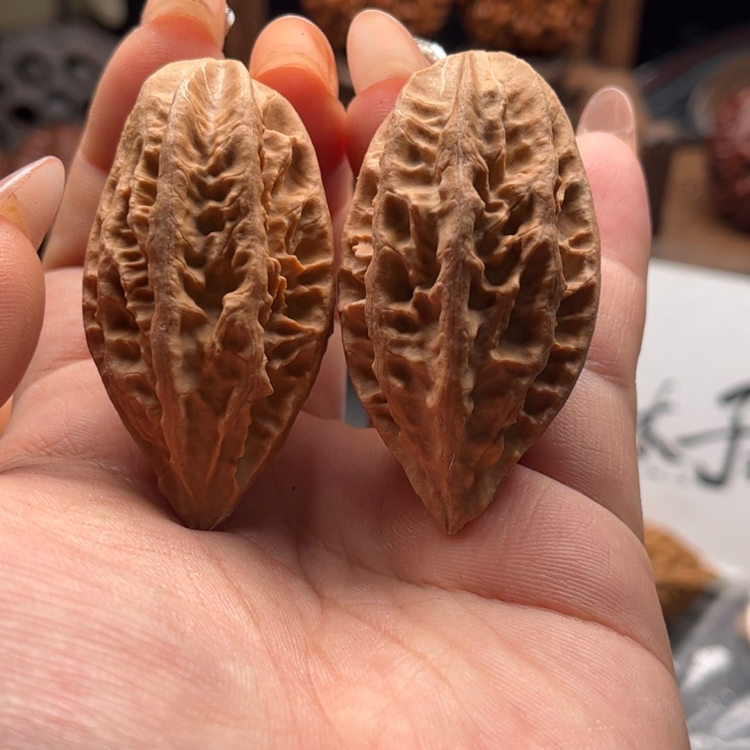 文玩核桃把件关东木子家楸大胖23