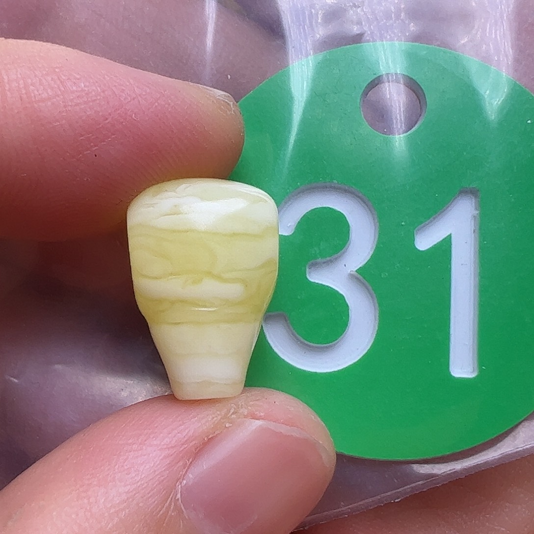 蜜蜡未镶嵌珠宝奇石10.8mm花粉