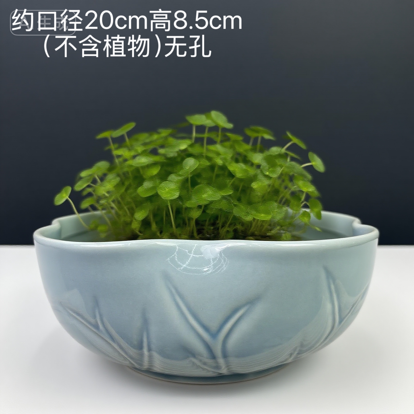多边形大口径无孔浮雕水培花盆适合多肉睡莲多种水培盆蓝色系盆景