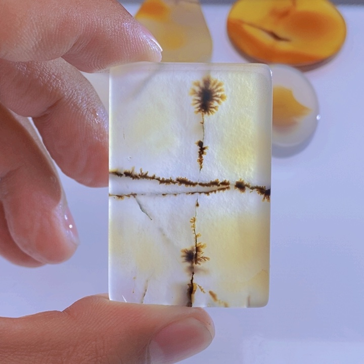 玛瑙/玉髓颈饰未镶嵌牛*